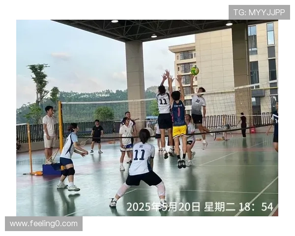 武汉排球队的团队协作之道：凝聚力与默契的完美结合